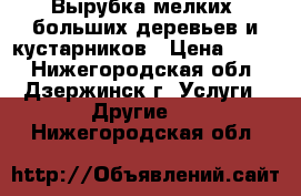 Вырубка мелких, больших деревьев и кустарников › Цена ­ 500 - Нижегородская обл., Дзержинск г. Услуги » Другие   . Нижегородская обл.